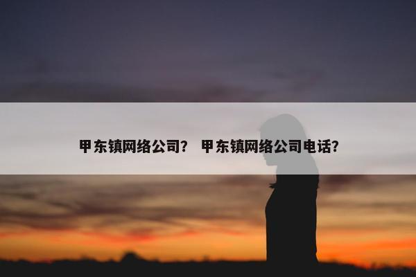 甲东镇网络公司？ 甲东镇网络公司电话？