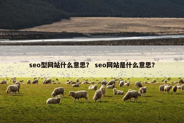 seo型网站什么意思？ seo网站是什么意思？