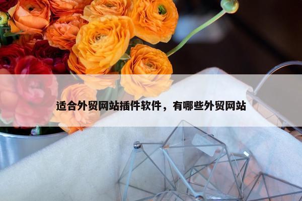 适合外贸网站插件软件，有哪些外贸网站