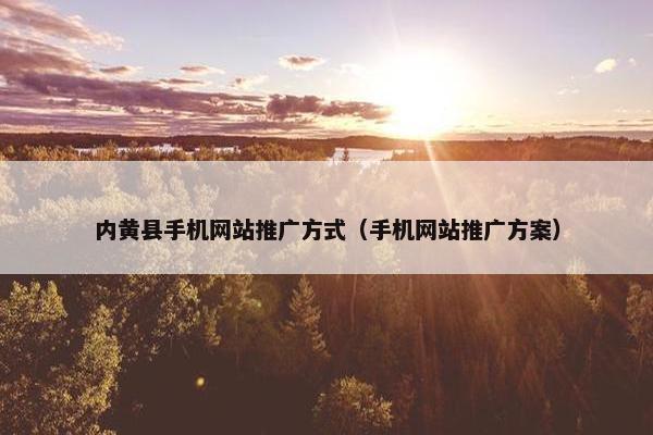 内黄县手机网站推广方式（手机网站推广方案）