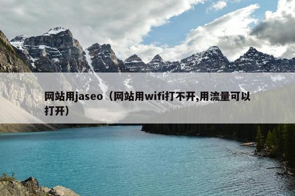 网站用jaseo（网站用wifi打不开,用流量可以打开）