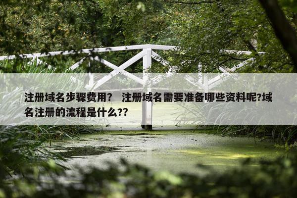 注册域名步骤费用？ 注册域名需要准备哪些资料呢?域名注册的流程是什么?？