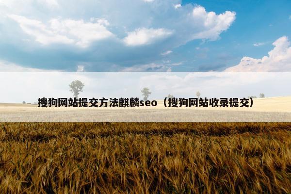 搜狗网站提交方法麒麟seo（搜狗网站收录提交）