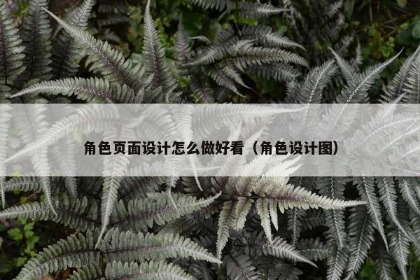 角色页面设计怎么做好看（角色设计图）