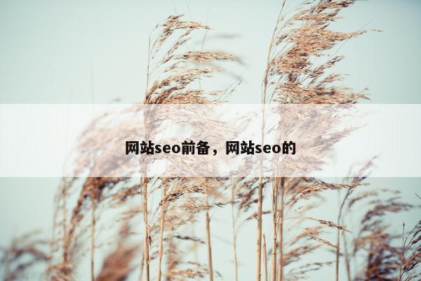 网站seo前备，网站seo的