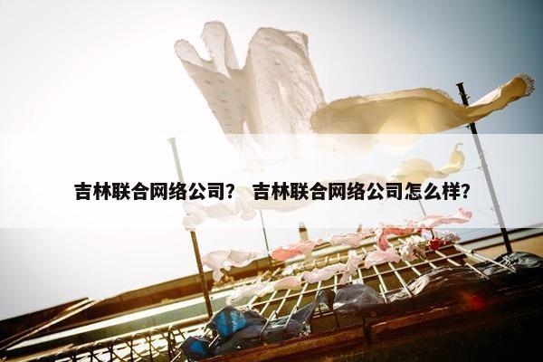 吉林联合网络公司？ 吉林联合网络公司怎么样？