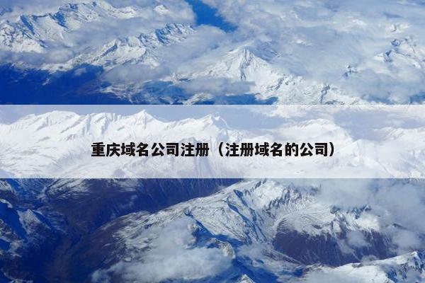 重庆域名公司注册（注册域名的公司）