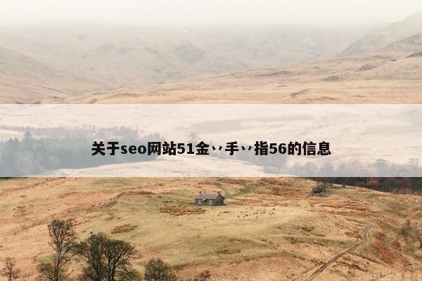 关于seo网站51金丷手丷指56的信息