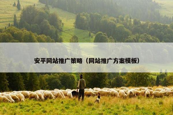 安平网站推广策略（网站推广方案模板）