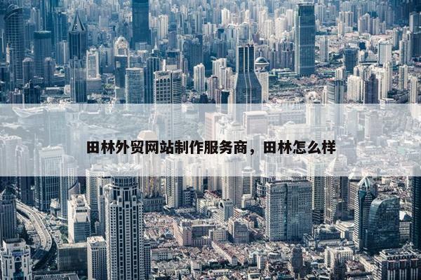 田林外贸网站制作服务商,田林怎么样 田林外贸网站制作服务商,田林怎么样
