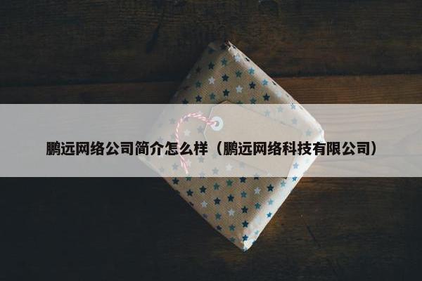 鹏远网络公司简介怎么样（鹏远网络科技有限公司）