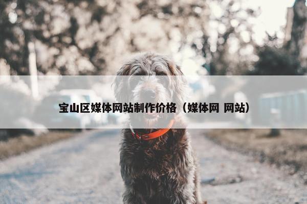 宝山区媒体网站制作价格（媒体网 网站）