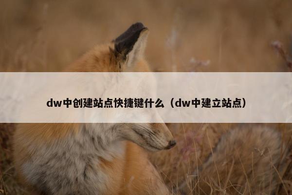 dw中创建站点快捷键什么（dw中建立站点）
