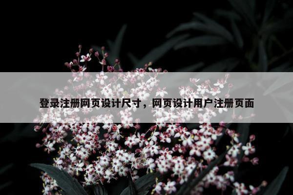 登录注册网页设计尺寸，网页设计用户注册页面