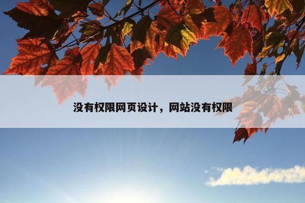 没有权限网页设计，网站没有权限