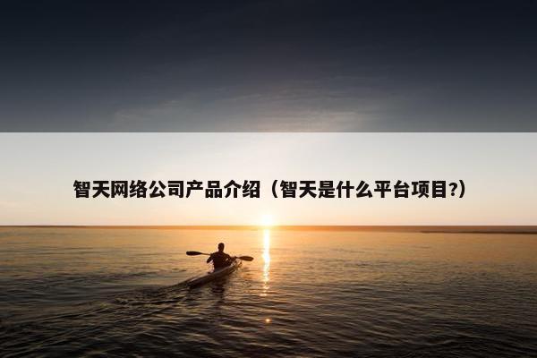 智天网络公司产品介绍（智天是什么平台项目?）