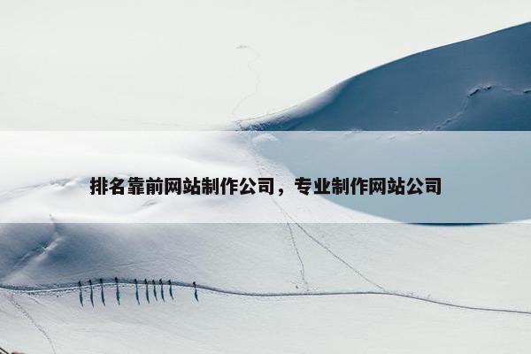 排名靠前网站制作公司，专业制作网站公司