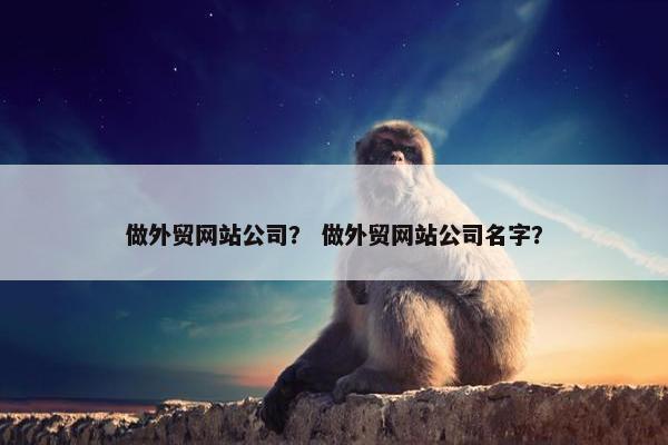 做外贸网站公司？ 做外贸网站公司名字？