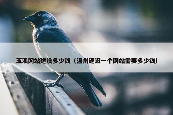 玉溪网站建设多少钱（温州建设一个网站需要多少钱）