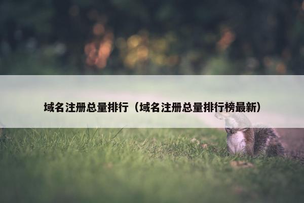 域名注册总量排行（域名注册总量排行榜最新）