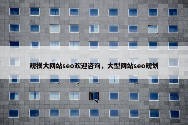 规模大网站seo欢迎咨询，大型网站seo规划