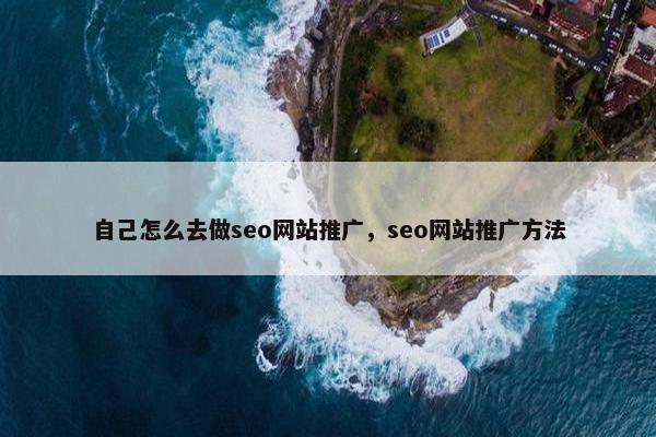 自己怎么去做seo网站推广，seo网站推广方法