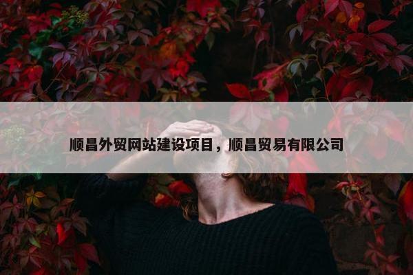 顺昌外贸网站建设项目，顺昌贸易有限公司