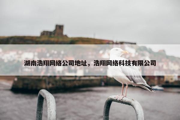 湖南浩翔网络公司地址，浩翔网络科技有限公司