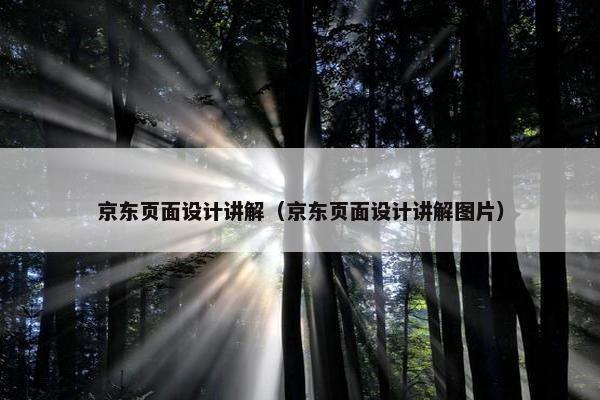 京东页面设计讲解（京东页面设计讲解图片）