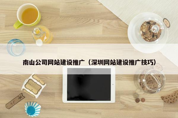 南山公司网站建设推广（深圳网站建设推广技巧）