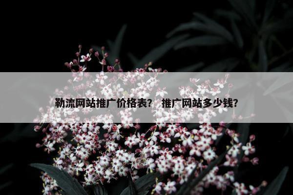 勒流网站推广价格表？ 推广网站多少钱？