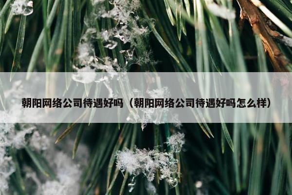 朝阳网络公司待遇好吗（朝阳网络公司待遇好吗怎么样）