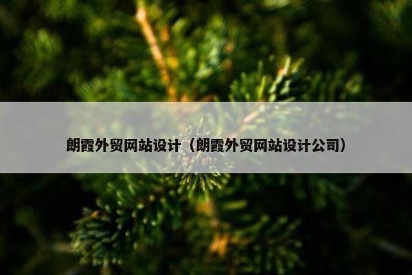 朗霞外贸网站设计（朗霞外贸网站设计公司）