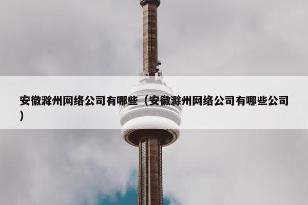 安徽滁州网络公司有哪些（安徽滁州网络公司有哪些公司）
