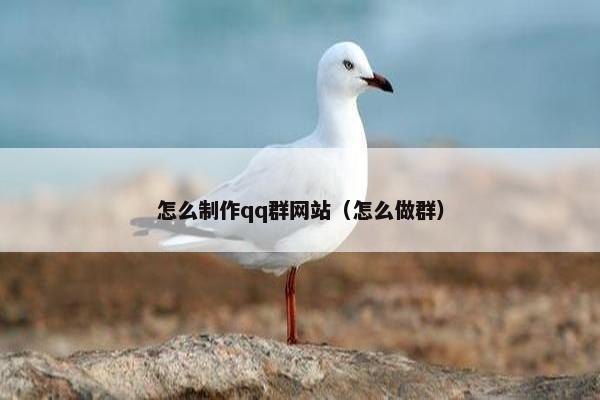 怎么制作qq群网站（怎么做群）