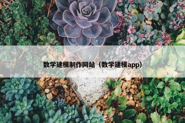 数学建模制作网站（数学建模app）
