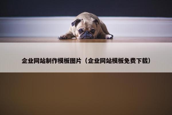 企业网站制作模板图片（企业网站模板免费下载）