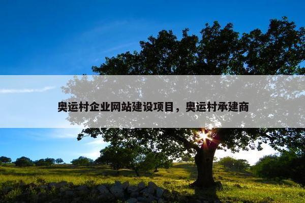 奥运村企业网站建设项目，奥运村承建商