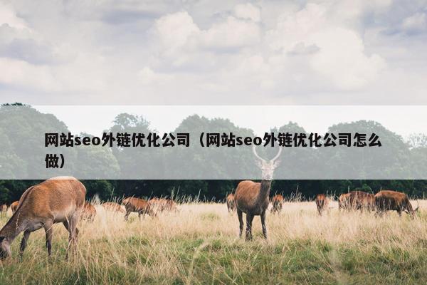 网站seo外链优化公司（网站seo外链优化公司怎么做）