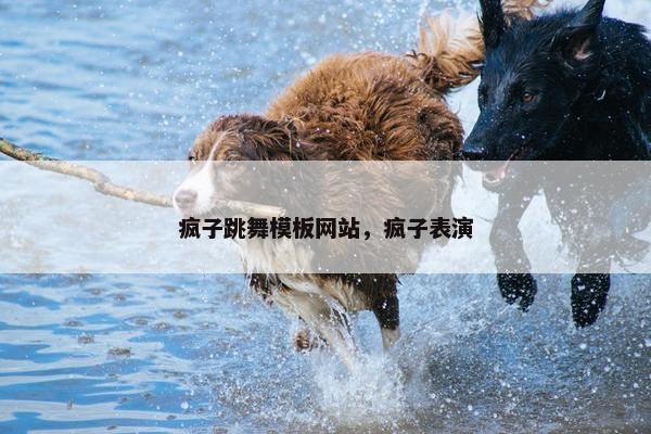 疯子跳舞模板网站，疯子表演