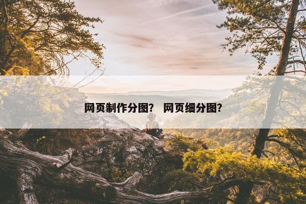 网页制作分图？ 网页细分图？