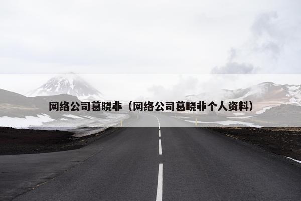网络公司葛晓非（网络公司葛晓非个人资料）