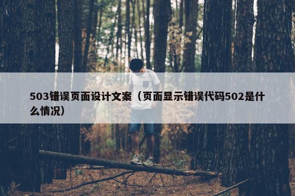 503错误页面设计文案（页面显示错误代码502是什么情况）
