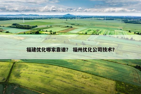 福建优化哪家靠谱？ 福州优化公司技术？