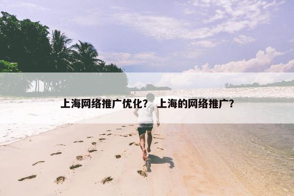 上海网络推广优化？ 上海的网络推广？