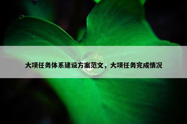 大项任务体系建设方案范文，大项任务完成情况