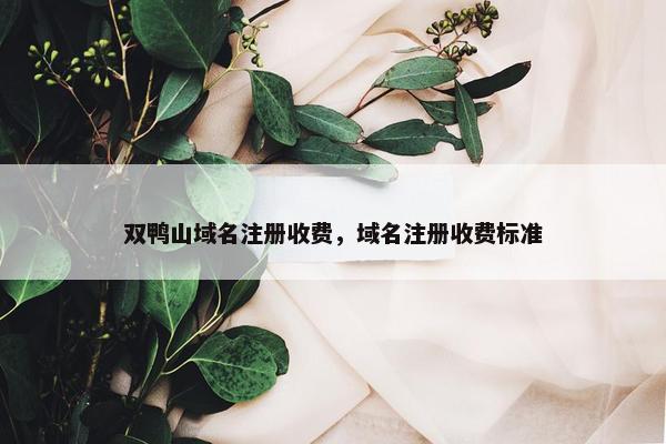 双鸭山域名注册收费，域名注册收费标准