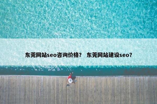东莞网站seo咨询价格？ 东莞网站建设seo？