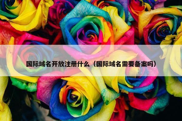 国际域名开放注册什么（国际域名需要备案吗）