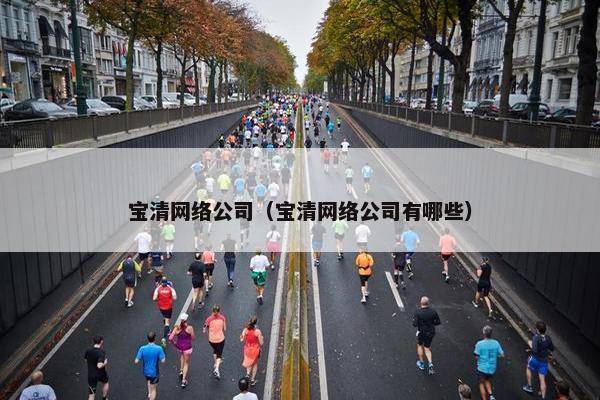 宝清网络公司（宝清网络公司有哪些）